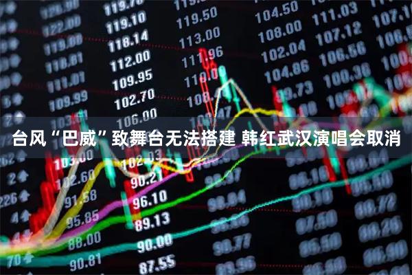 台风“巴威”致舞台无法搭建 韩红武汉演唱会取消