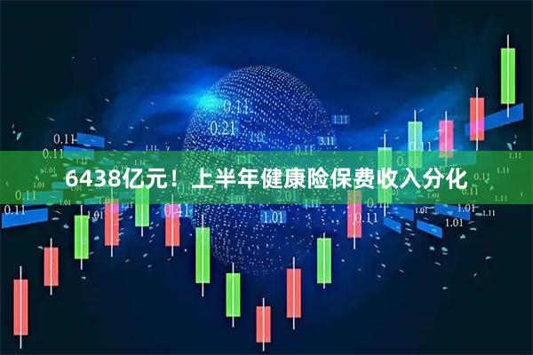 6438亿元！上半年健康险保费收入分化