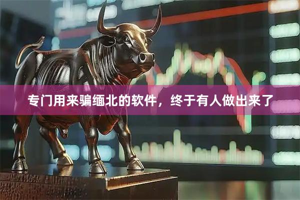 专门用来骗缅北的软件，终于有人做出来了